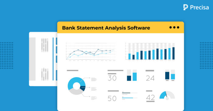 Bank statement analysis software