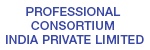 PROFESSIONAL CONSORTIUM INDIA PRIVATE LIMITED