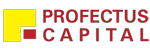 Profectus Capital Pvt Ltd